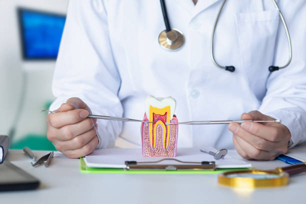 Best Chipped Tooth Repair Near Me  in Lake Nacimiento, CA